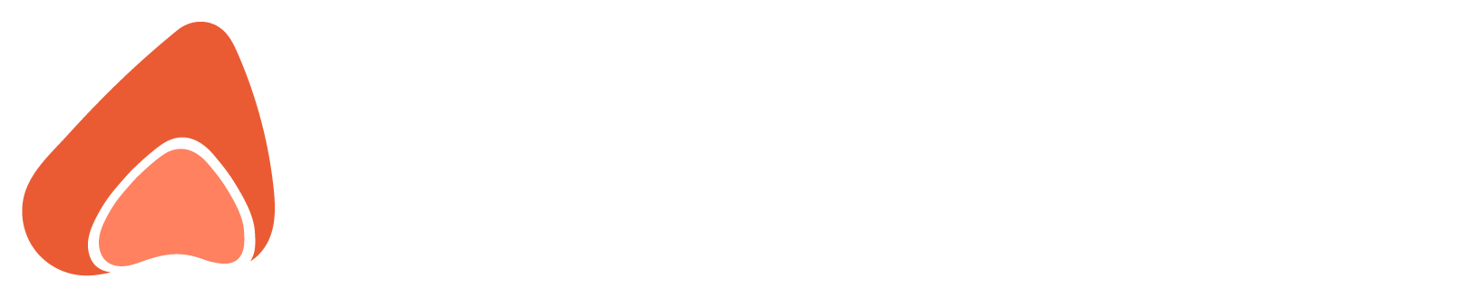 AnySolutions.ai